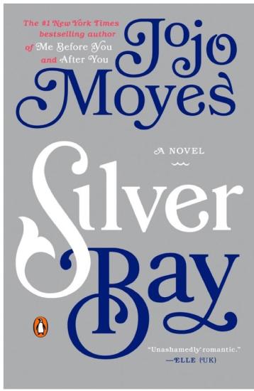 Silver Bay: A Novel